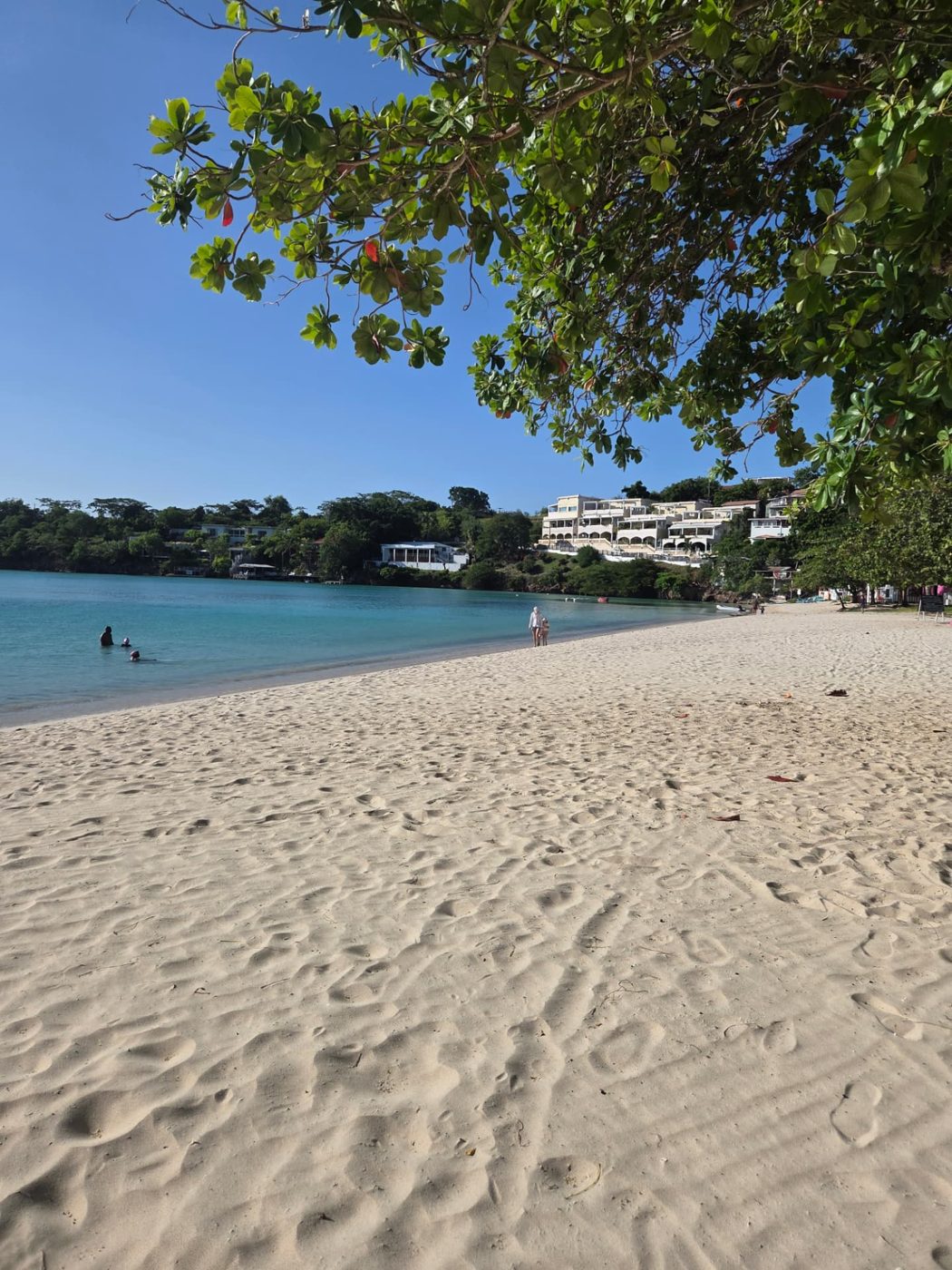 Golden sand beach with turquoise water in Grenada